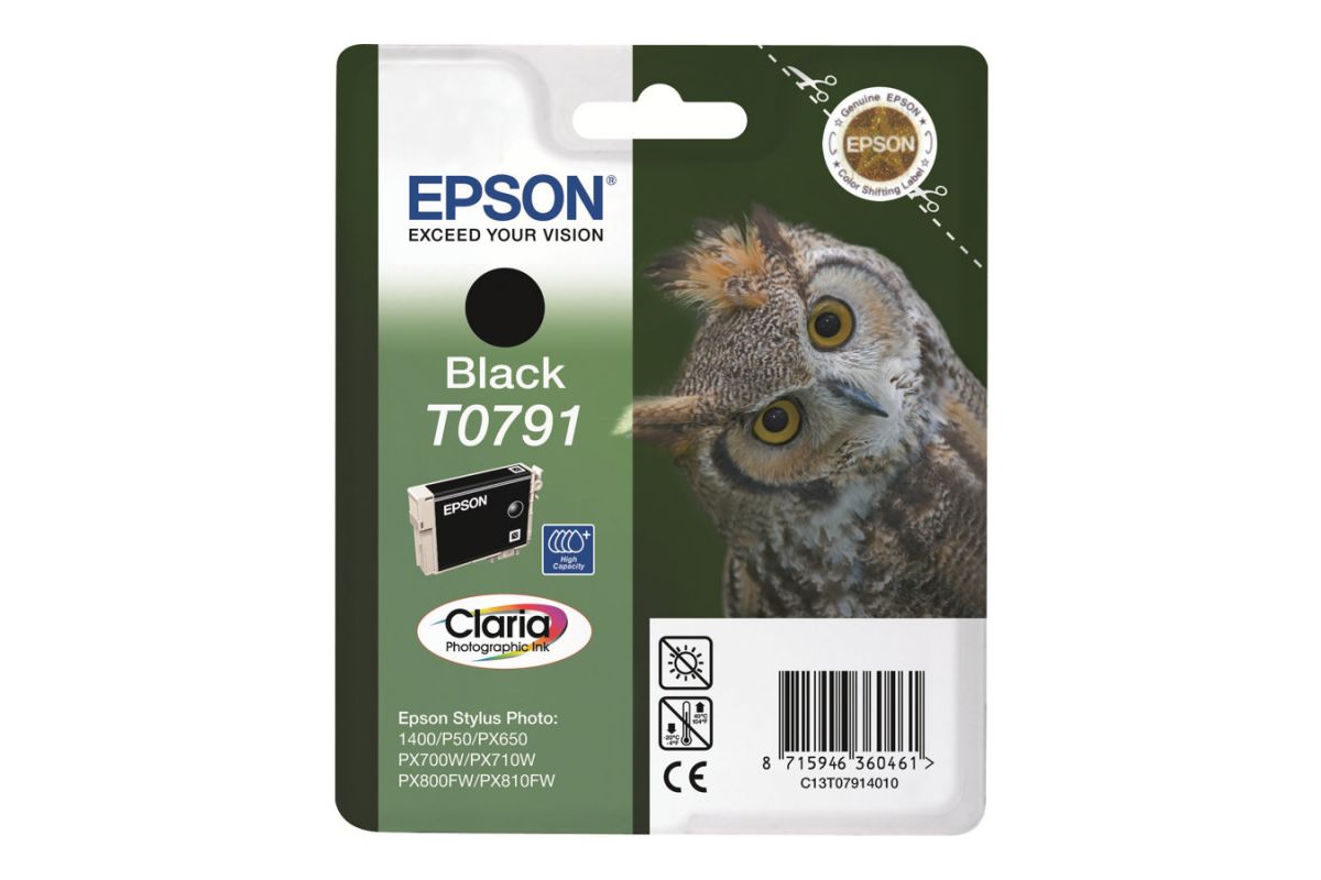 Epson T0791