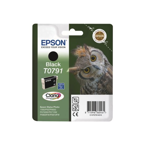 Epson T0791