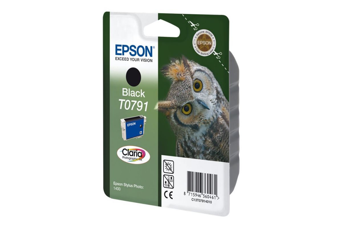 Epson T0791