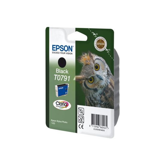 Epson T0791