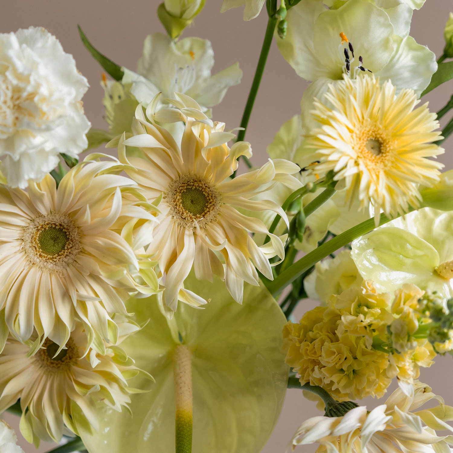 arrangement