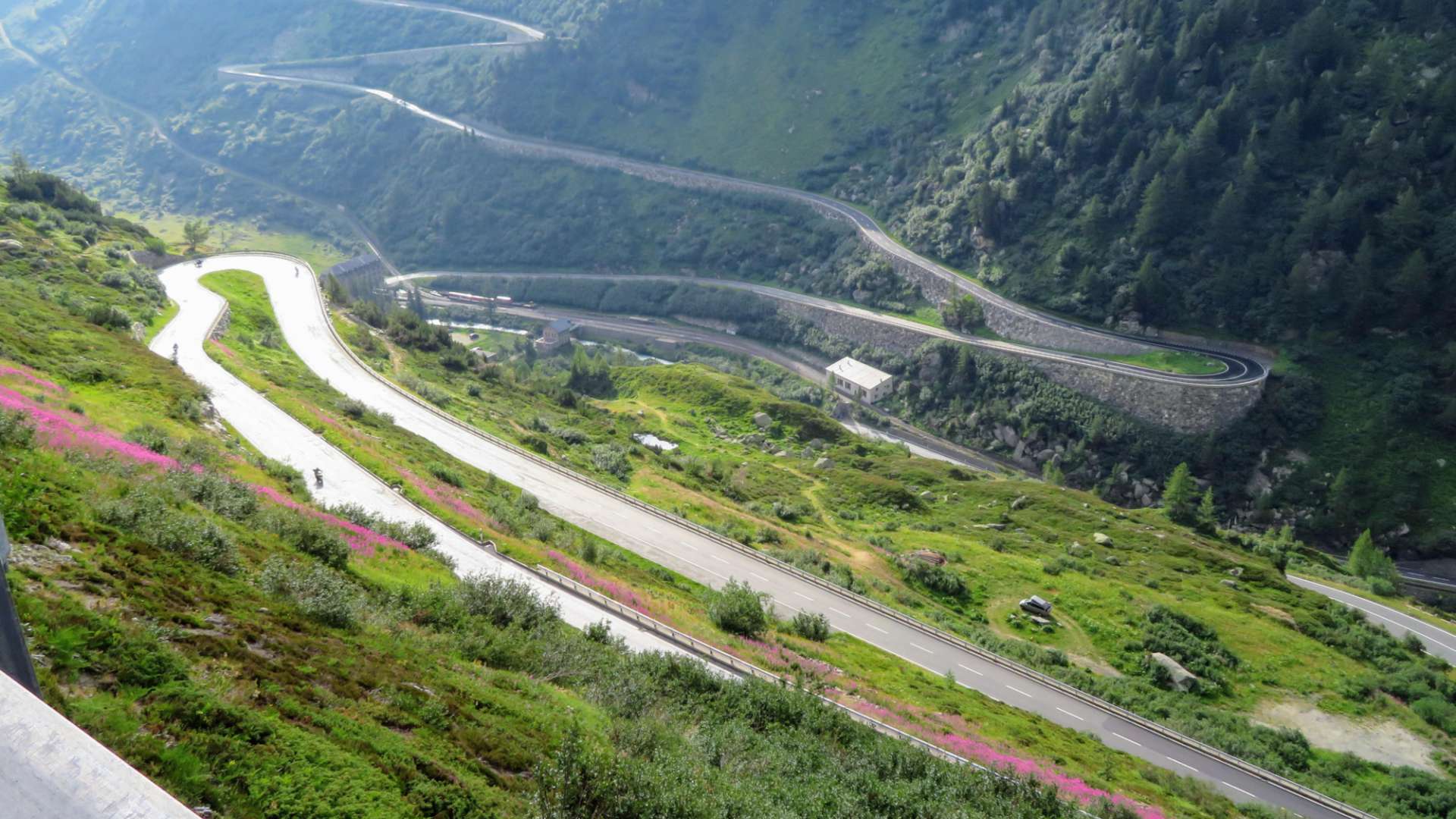 Grimsel Pass Alpine Tour