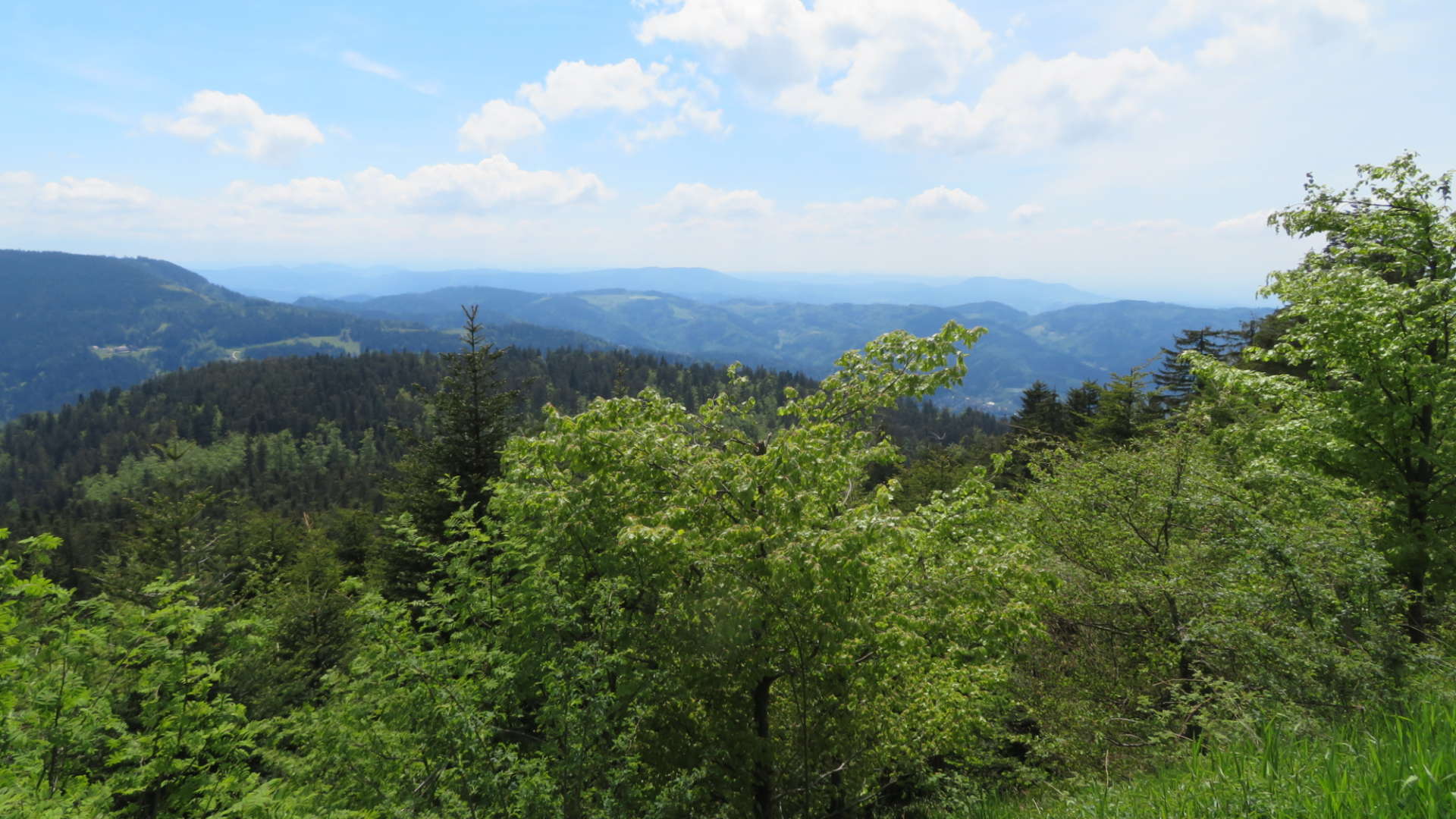 Black Forest Motorcycle Tours