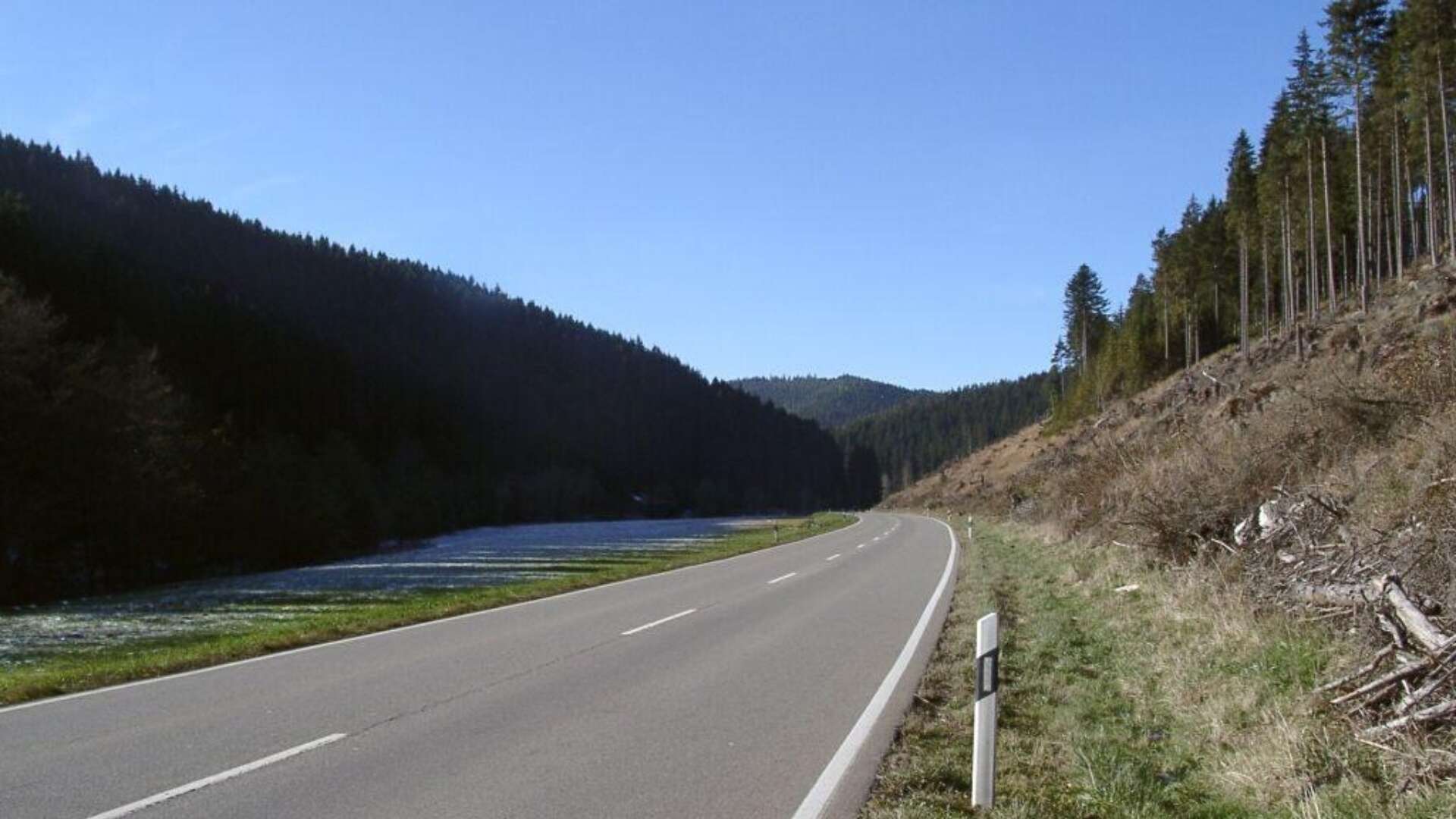 Black Forest Hero