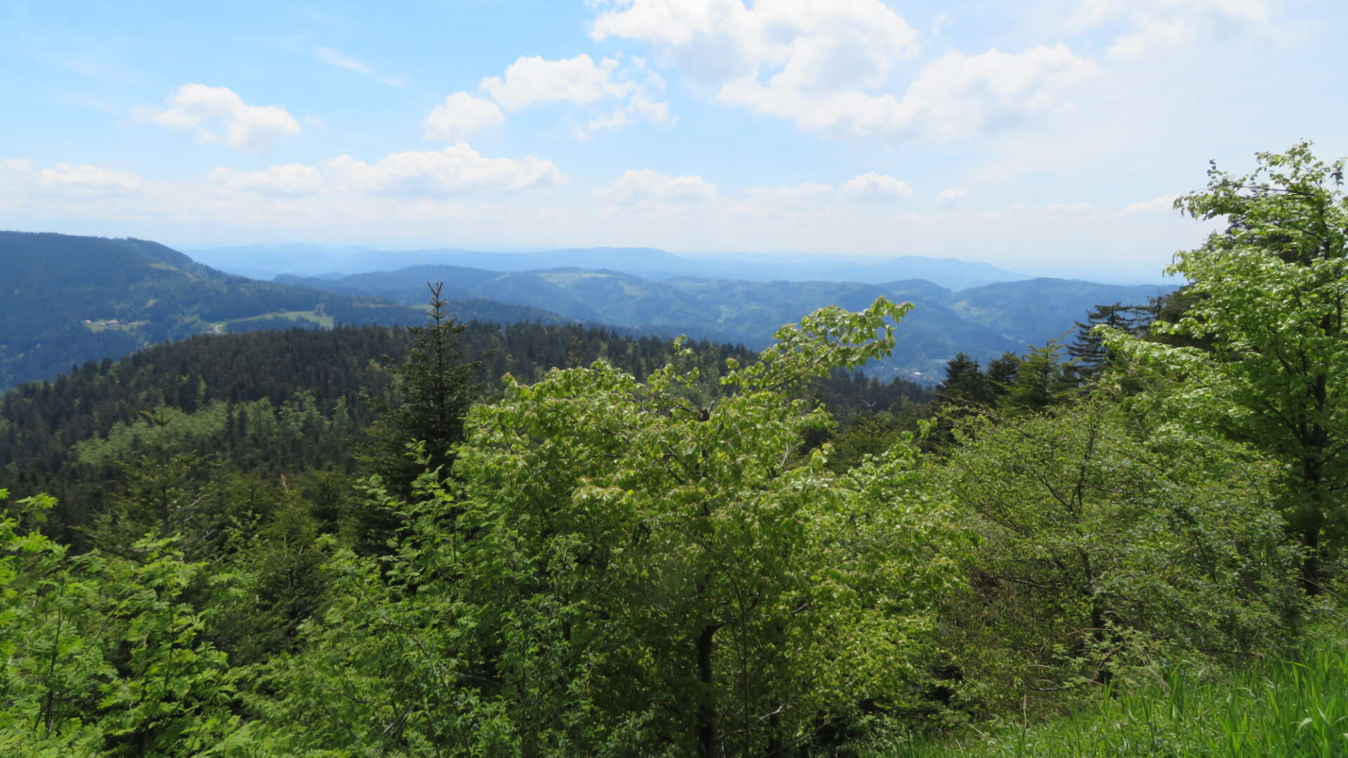 Black Forest Motorcycle Tours