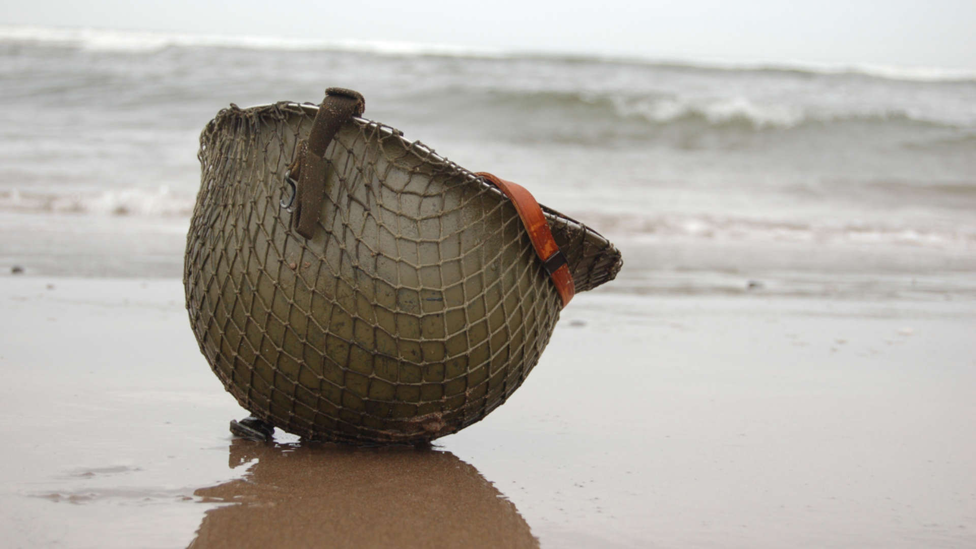 Beach Landings FMT D Day