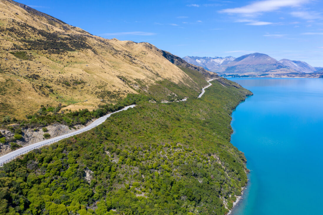 Dunedin to Haast highlight