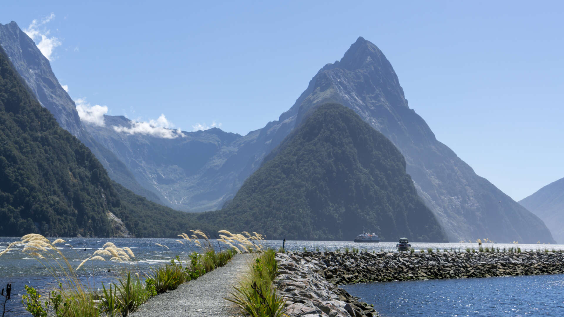Mildford Sound River Cruise
