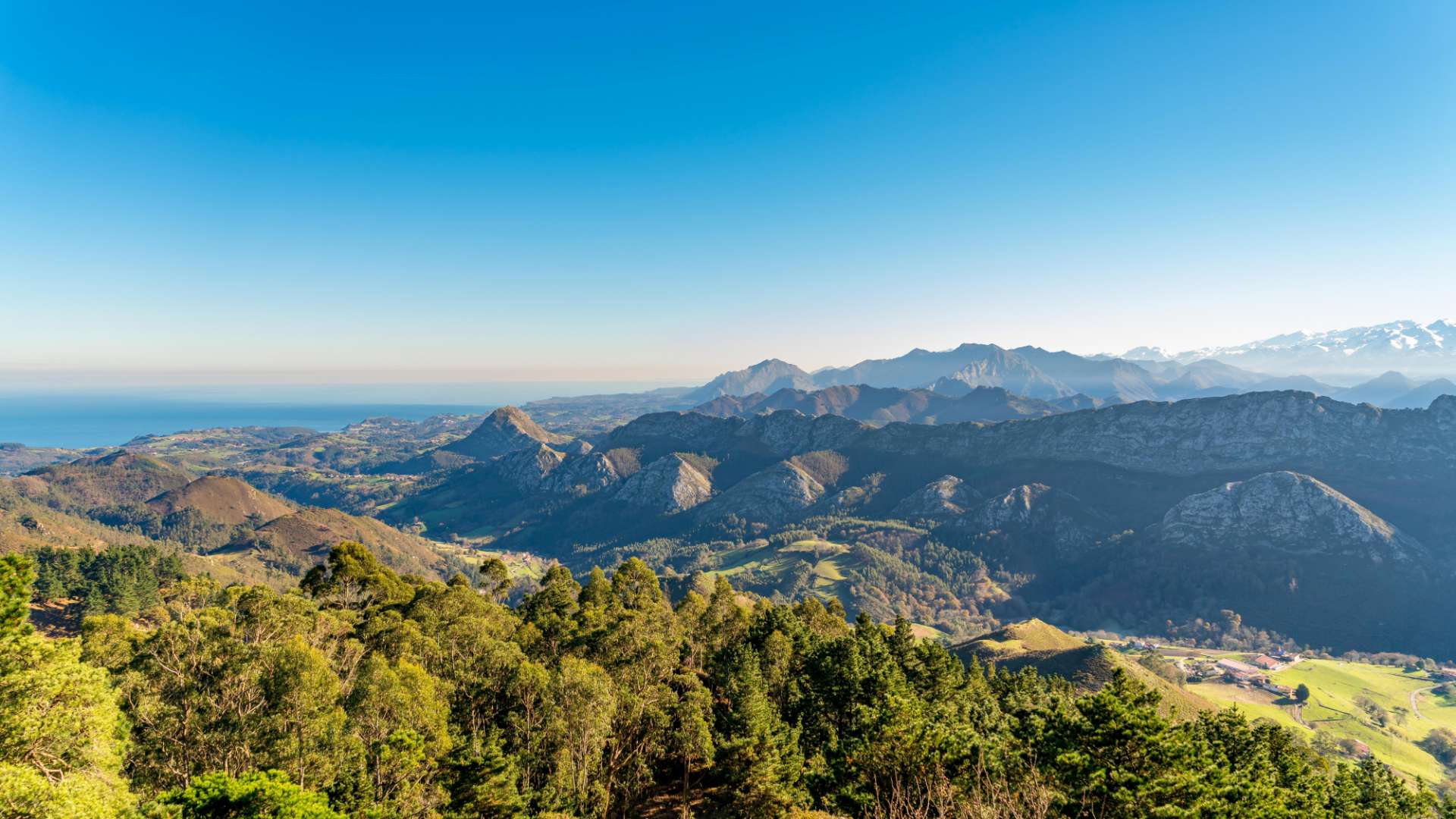 Picos de Europa
