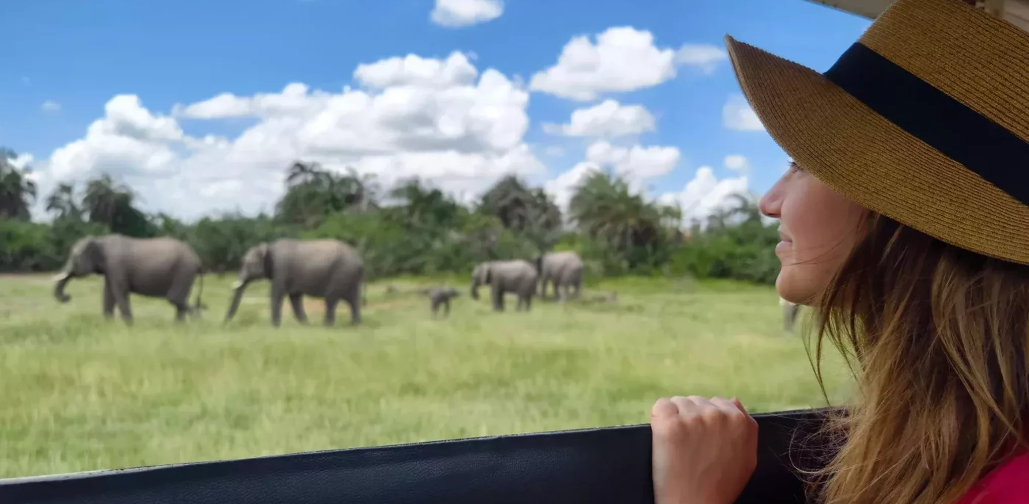 5 geriausios safario kryptys Afrikoje šį spalį