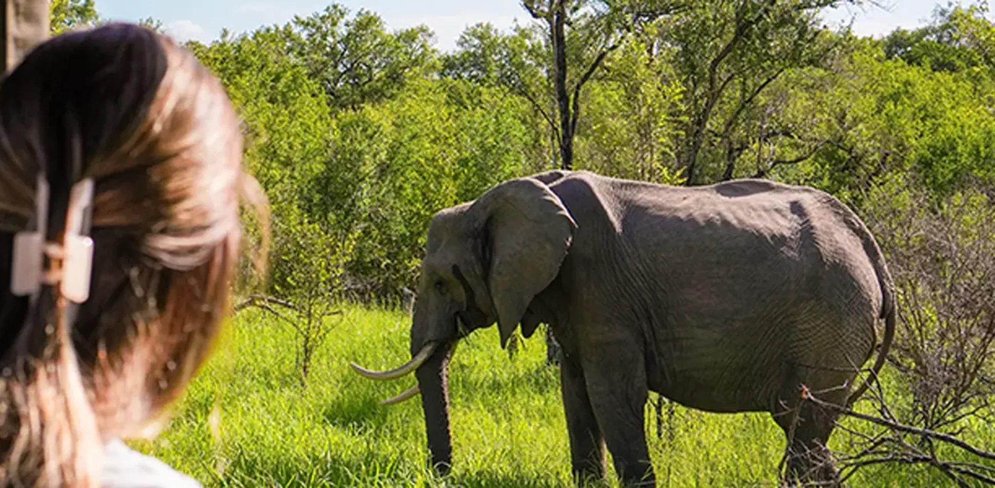Where to Visit in Zambia This Summer