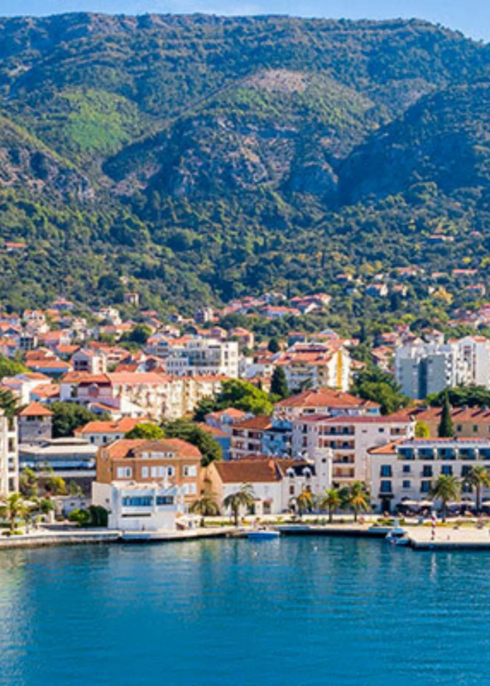 Green Motion Car and van rental in Tivat Airport