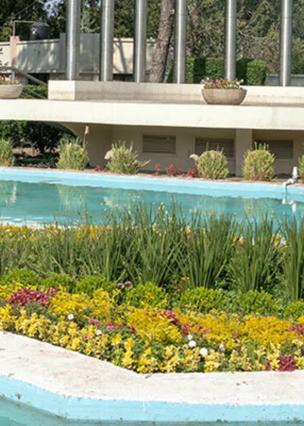 Green Motion Car and van rental in Saltillo