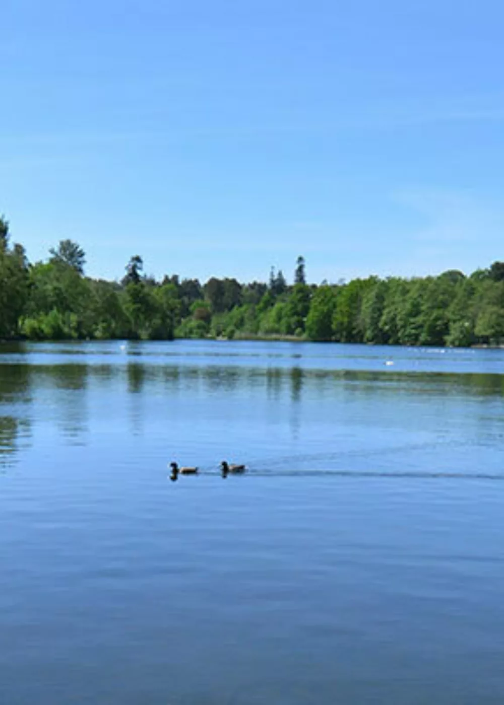 Green Motion Car and van rental in Crawley