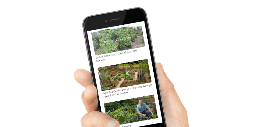 Vegetable Pest and Disease treatment and protection