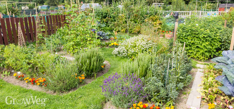 A well-planned vegetable garden