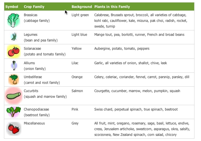 Garden Rotation Chart