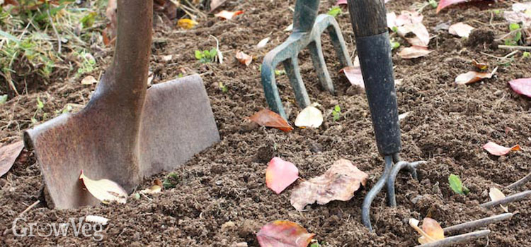 The Pros And Cons Of Cultivating Soil