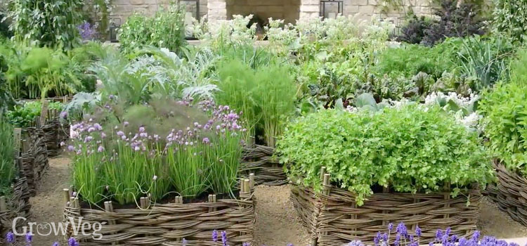 Herb Garden Design Ideas