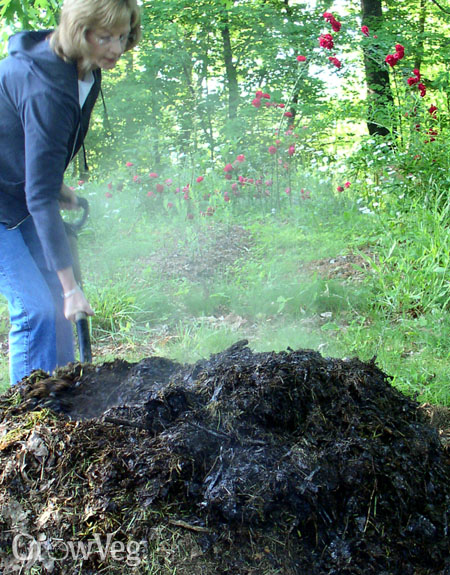 Can Cow Manure Be Used As Mulch