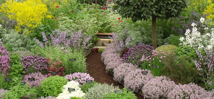 herb garden design ideas