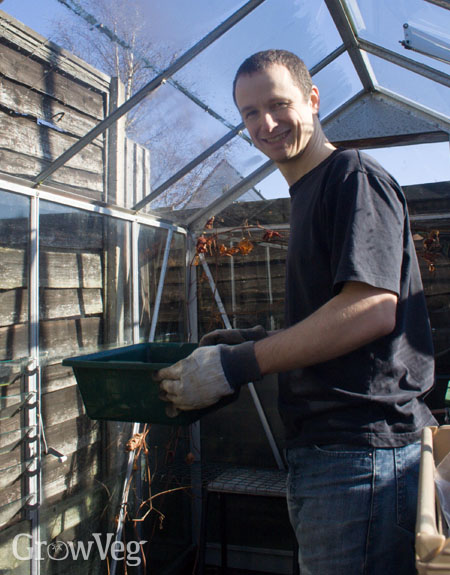 Beat Pests And Diseases By Spring Cleaning Your Greenhouse