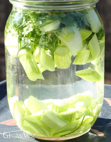 A Ride Through the Garden: Infused Water Okra, the Unexpectedly Refreshing Vehicle for Hydration