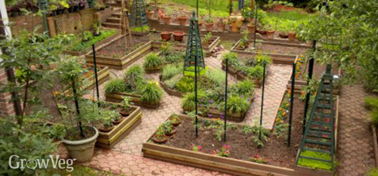 How To Design A Potager Garden