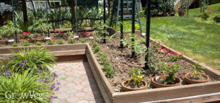 How to Design a Potager Garden 