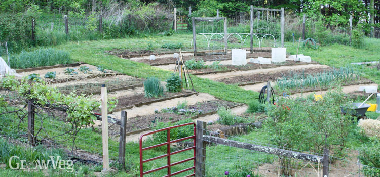 How to Create a Vegetable Garden on a Slope