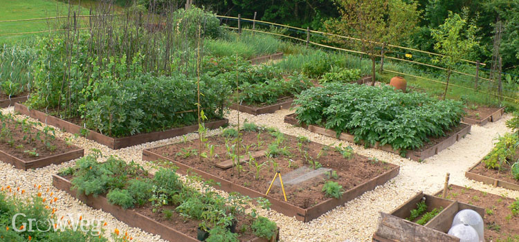 Layout Of Vegetable Garden Plots Brainly - garden layout