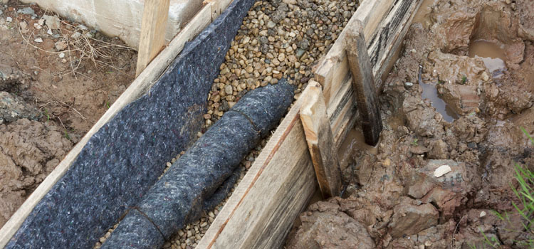 Reduce Soil Waterlogging With These Handy Tips