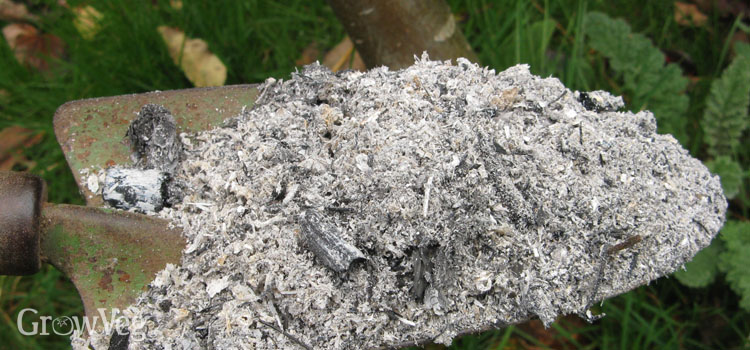 Using Wood Ash In The Vegetable Garden