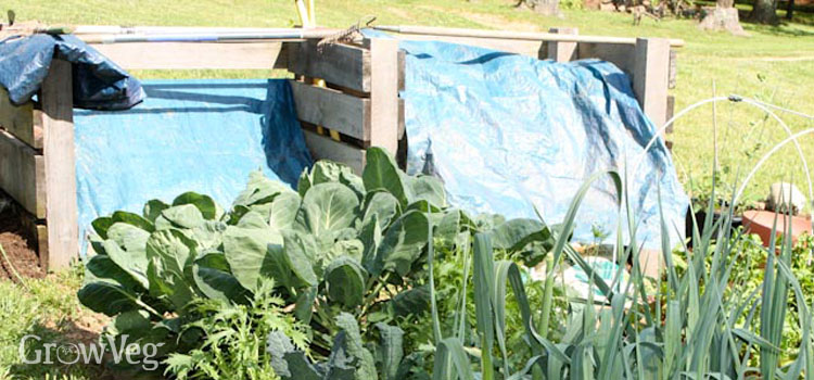 Best Compost Locations