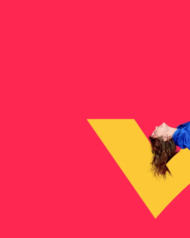 DV360 Retargeting Segmented by Product Category Delivering 4.2x ROAS