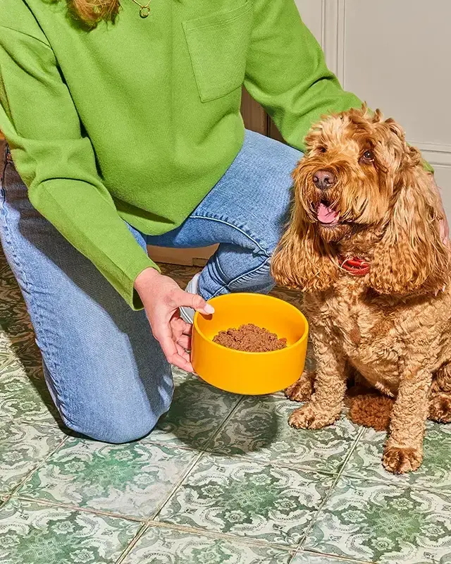 Landing Pages Built to Convert One Objection at a Time