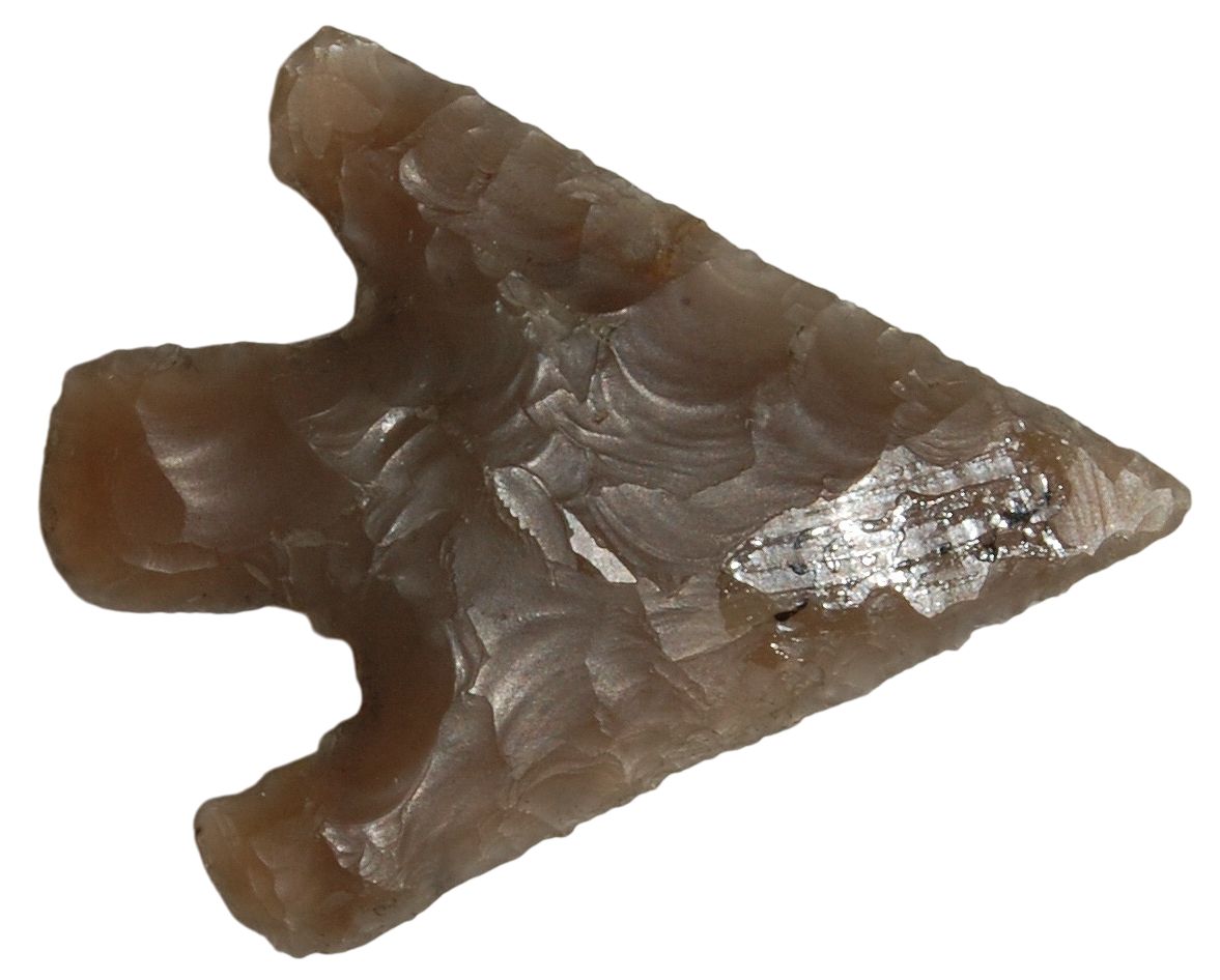 A small, triangular arrowhead made of smooth flint. Its surface has curved flake patterns, giving a rippled texture. The base features two inward notches. There is a shiny patch near the top, and the shape is symmetrical and finely crafted.