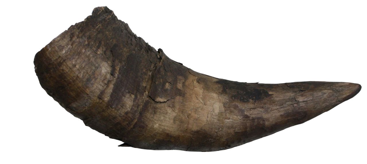 Worn and weathered drinking horn with a natural curved shape, featuring a rough, textured surface and varying shades of dark brown.