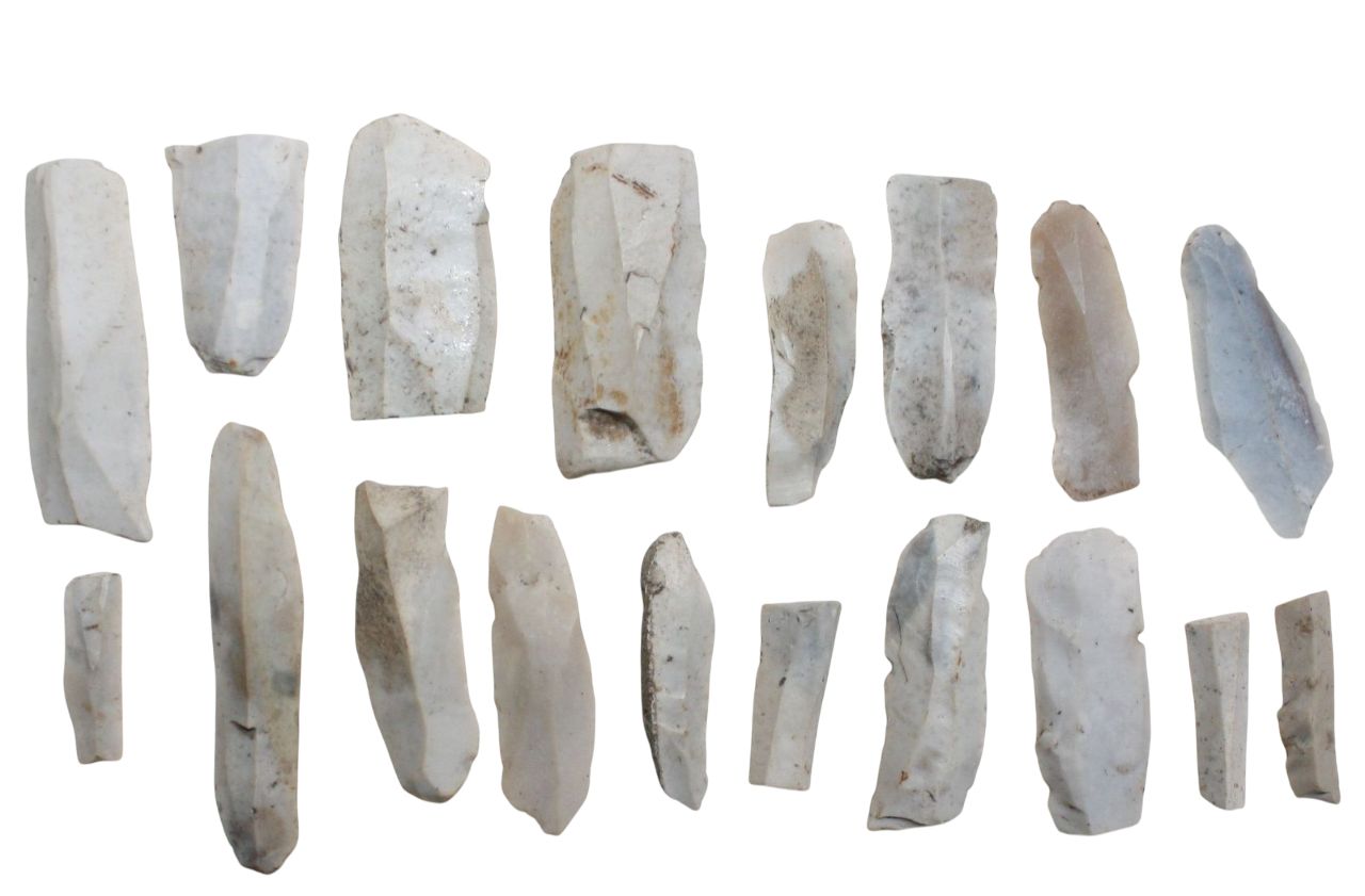 A collection of Mesolithic flint blades arranged in two rows on a white background. The blades vary in size and shape, displaying chipped edges and a smooth, polished surface typical of stone tools from the period. The colour ranges from pale grey to off-white with some natural dirt marks.