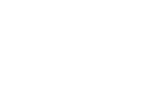 client logo-allstar
