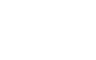 client logo-skoda