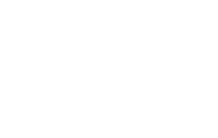client logo-vw