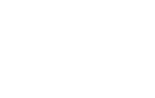 client logo-audi