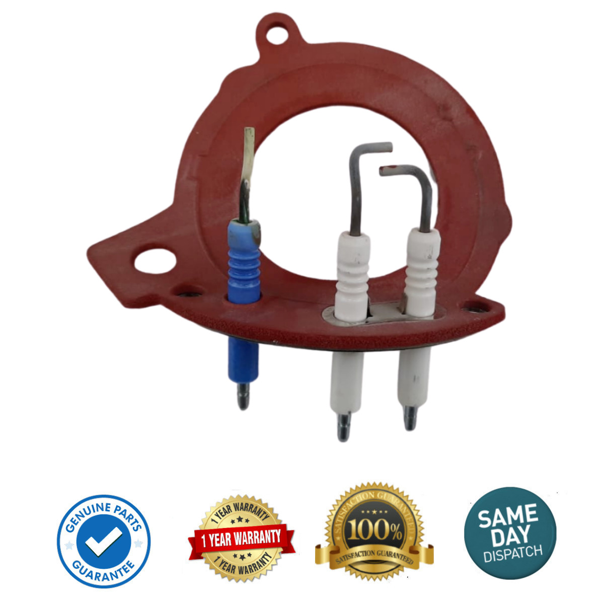 Worcester Greenstar Electrode 87161163810