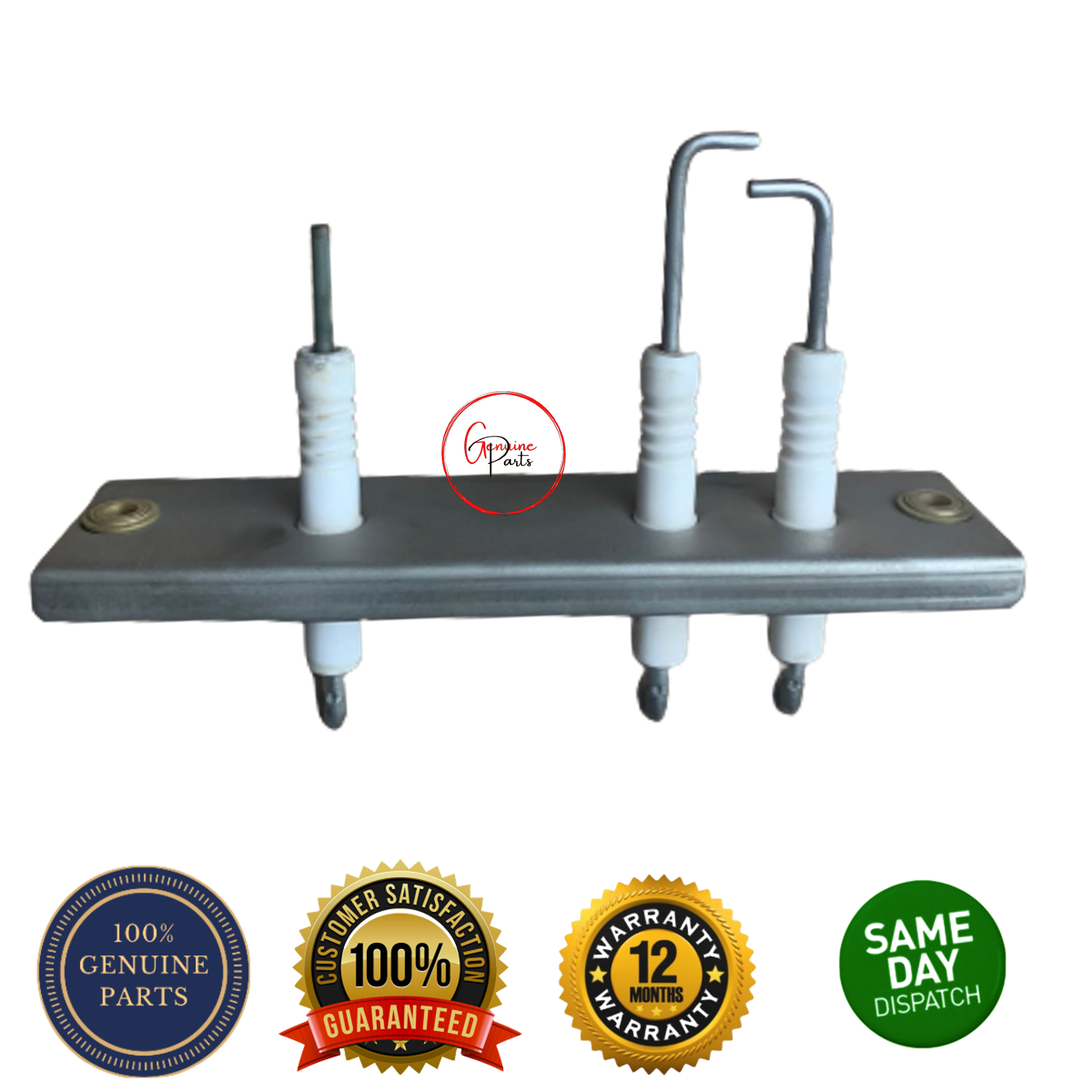 Worcester Electrode Kit 87161163810 8716121817 87186643010 Genuine