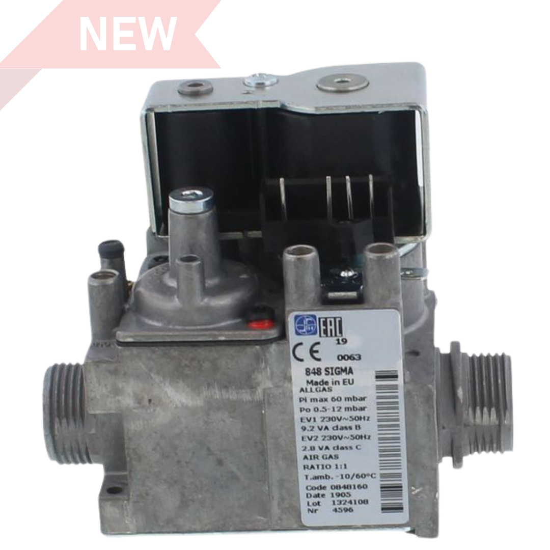 Biasi BI1313103 Gas Valve