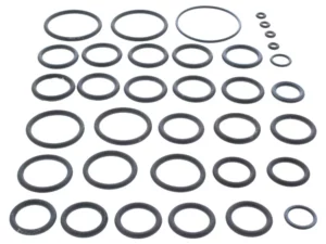 Image of Sime 6281506 O-ring Kit For Hydraulic Group