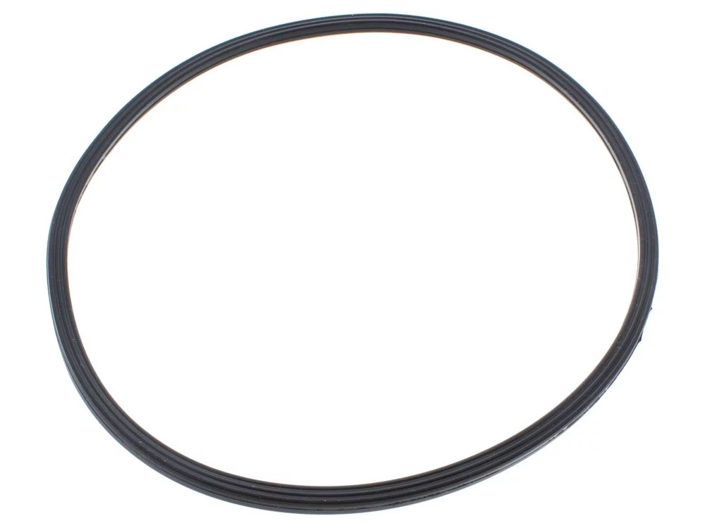 Biasi BI1293108 Combustion Chamber Lip Gasket
