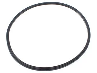 Biasi BI1293108 Combustion Chamber Lip Gasket