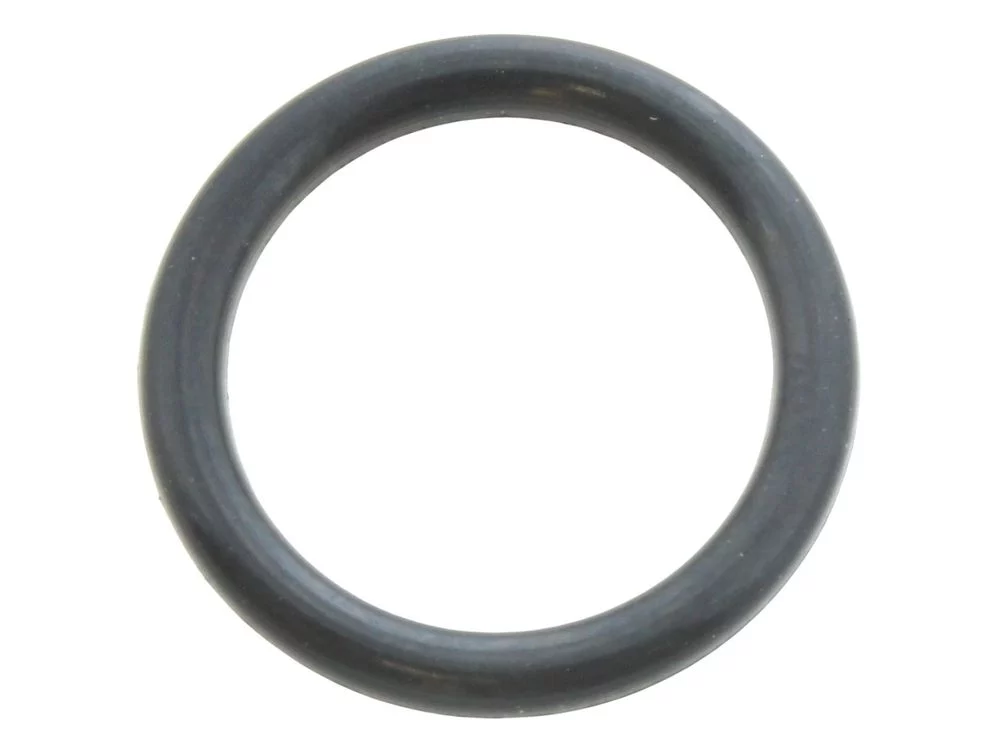 Andrews E845 Main Gas Valve O Ring